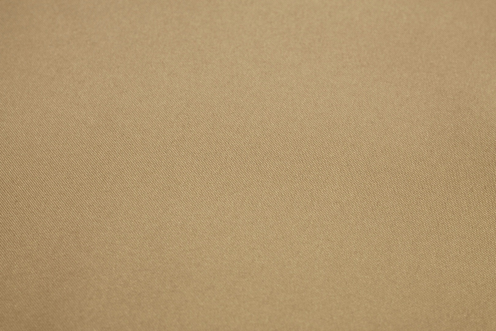Tissu Burlington Toile résistante Unie Beige