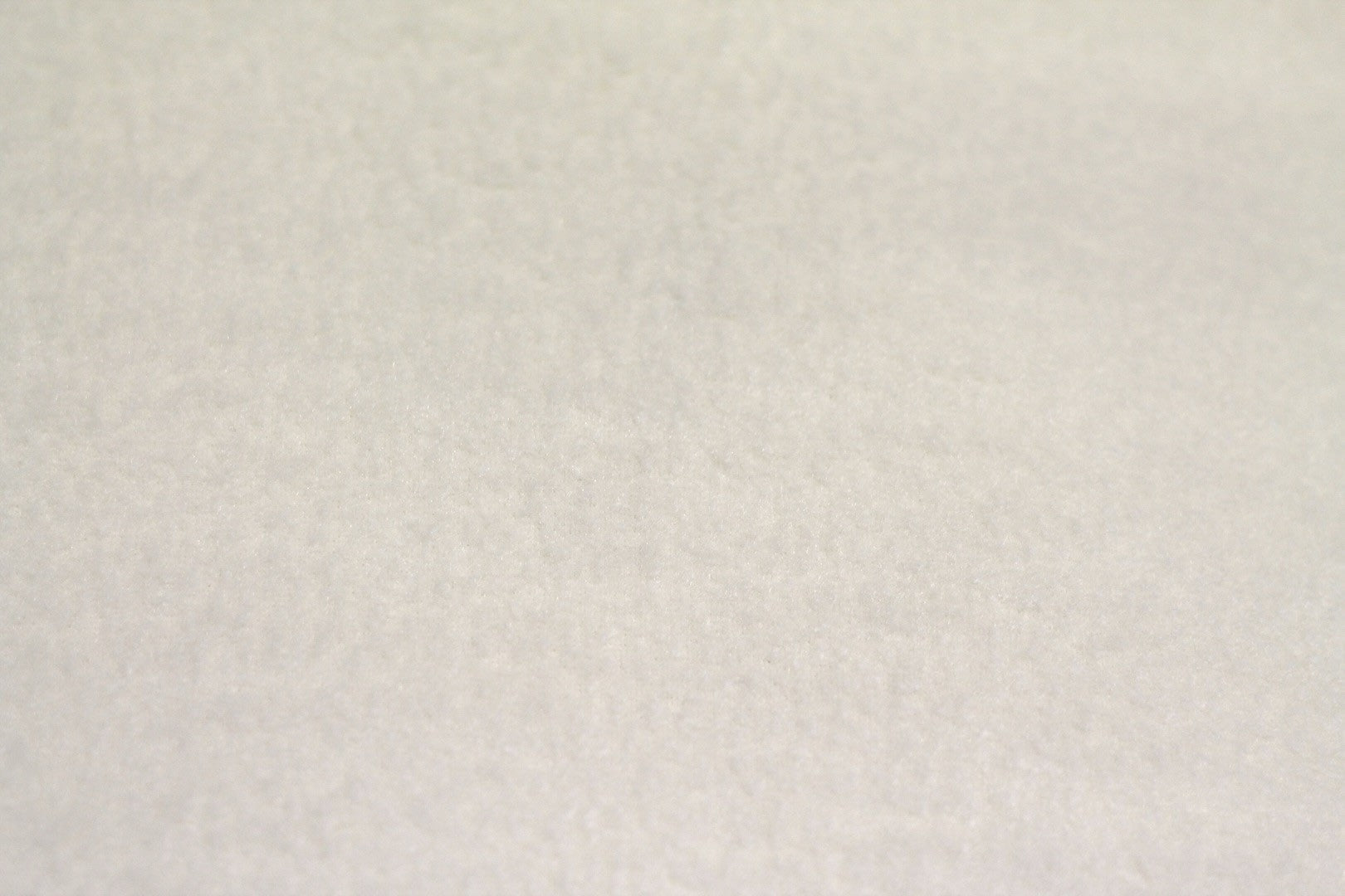 Tissu Polaire Unie Blanc cassé
