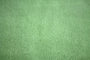 Tissu Polaire Unie Vert Anis