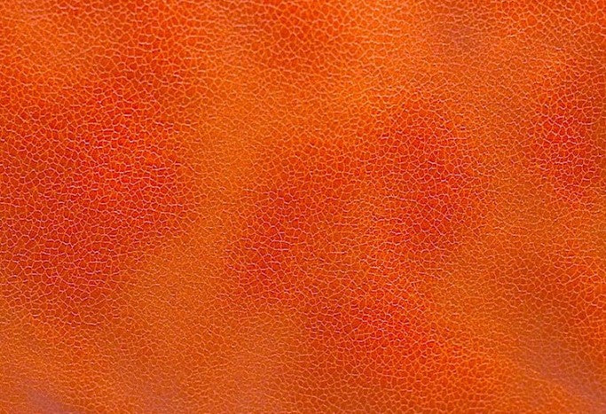 Tissu Suédine effet reptile grainé Orange