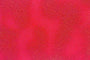 Tissu Suédine effet reptile grainé Rouge