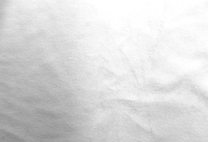 Tissu Velours Ras Minky Uni Blanc