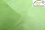 Tissu PUL Laminé Oeko-Tex Vert Anis