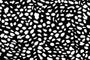 Tissu Popeline de Viscose Imprimé Dalmatien Noir